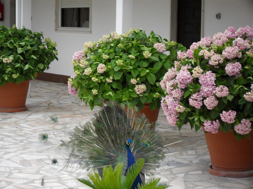 Lobateira Villas Fernao Ferro Exterior photo
